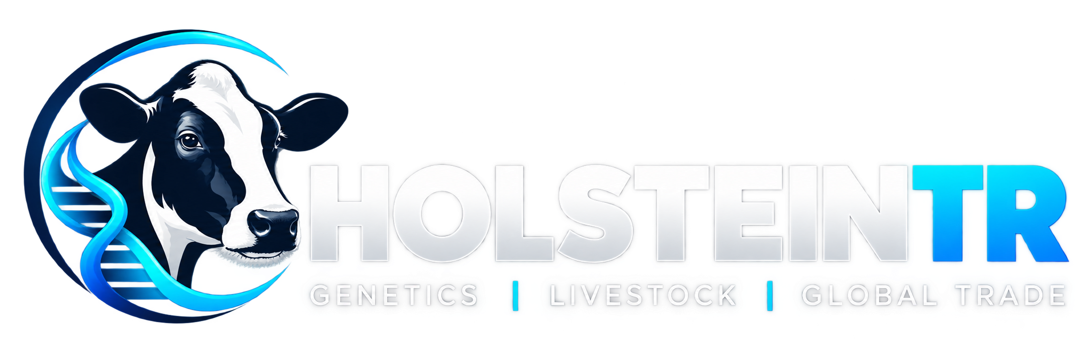 HolsteinTR