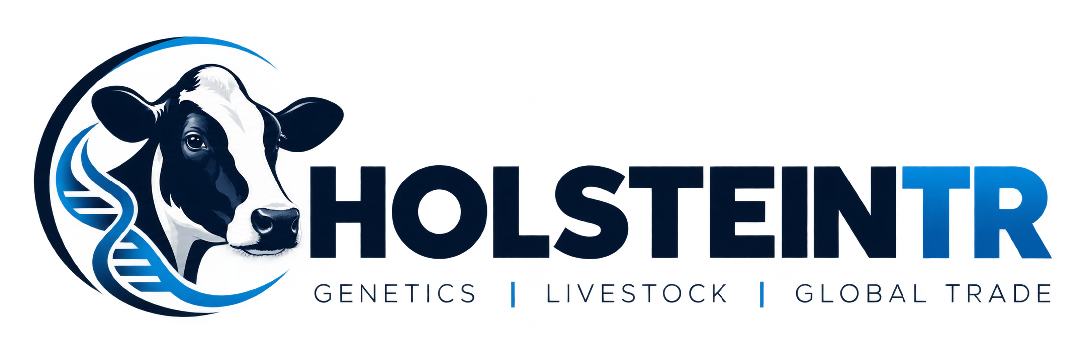 HolsteinTR